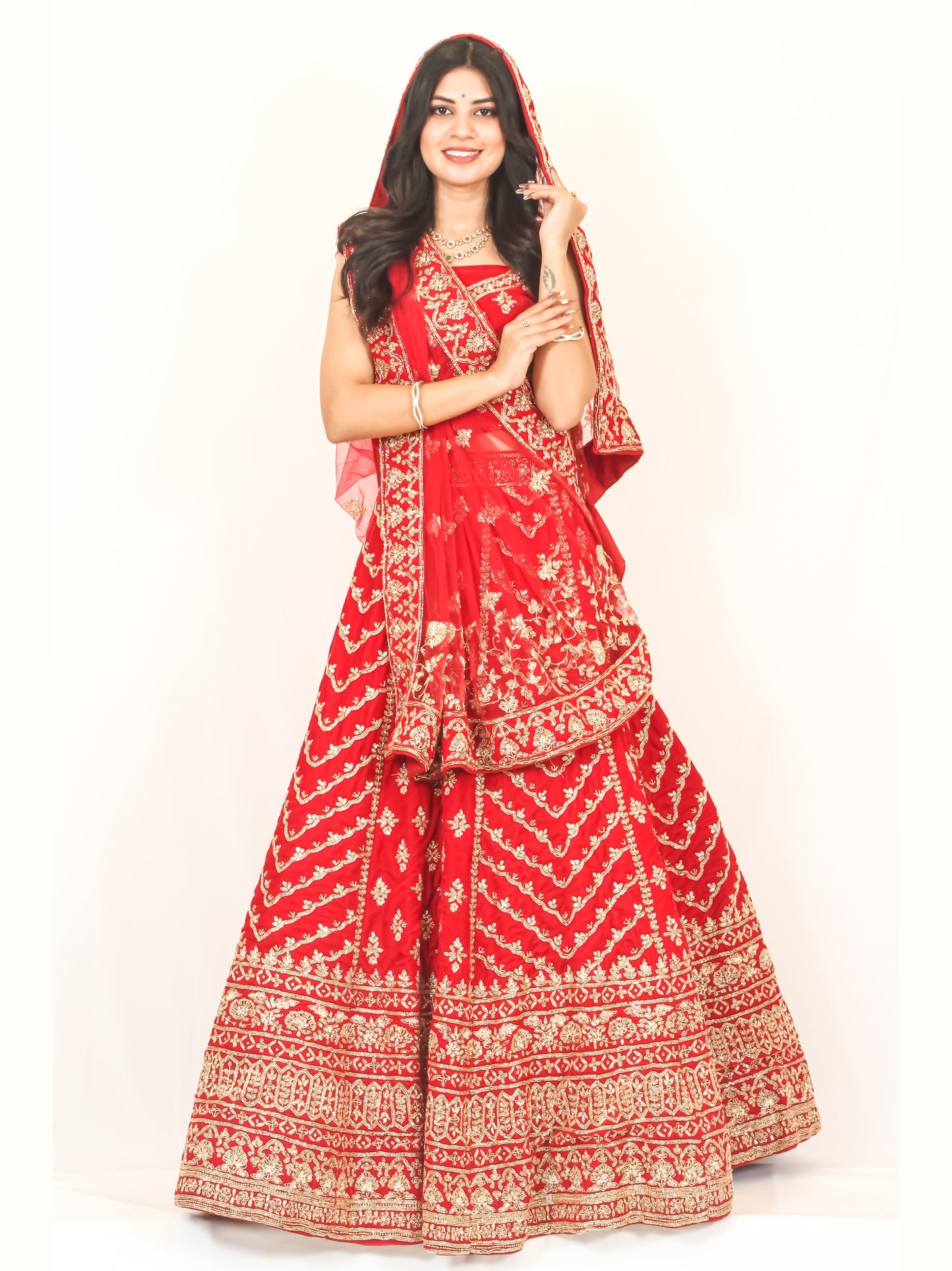 Luxury Red Bridal Lehenga with Golden Zari Embroidery