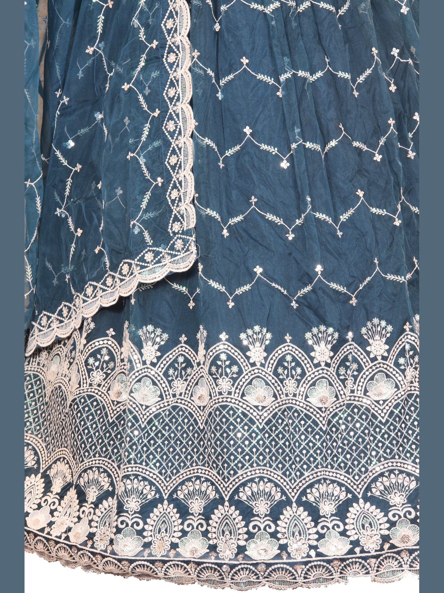 Blue Resham threadwork Organza Lehenga
