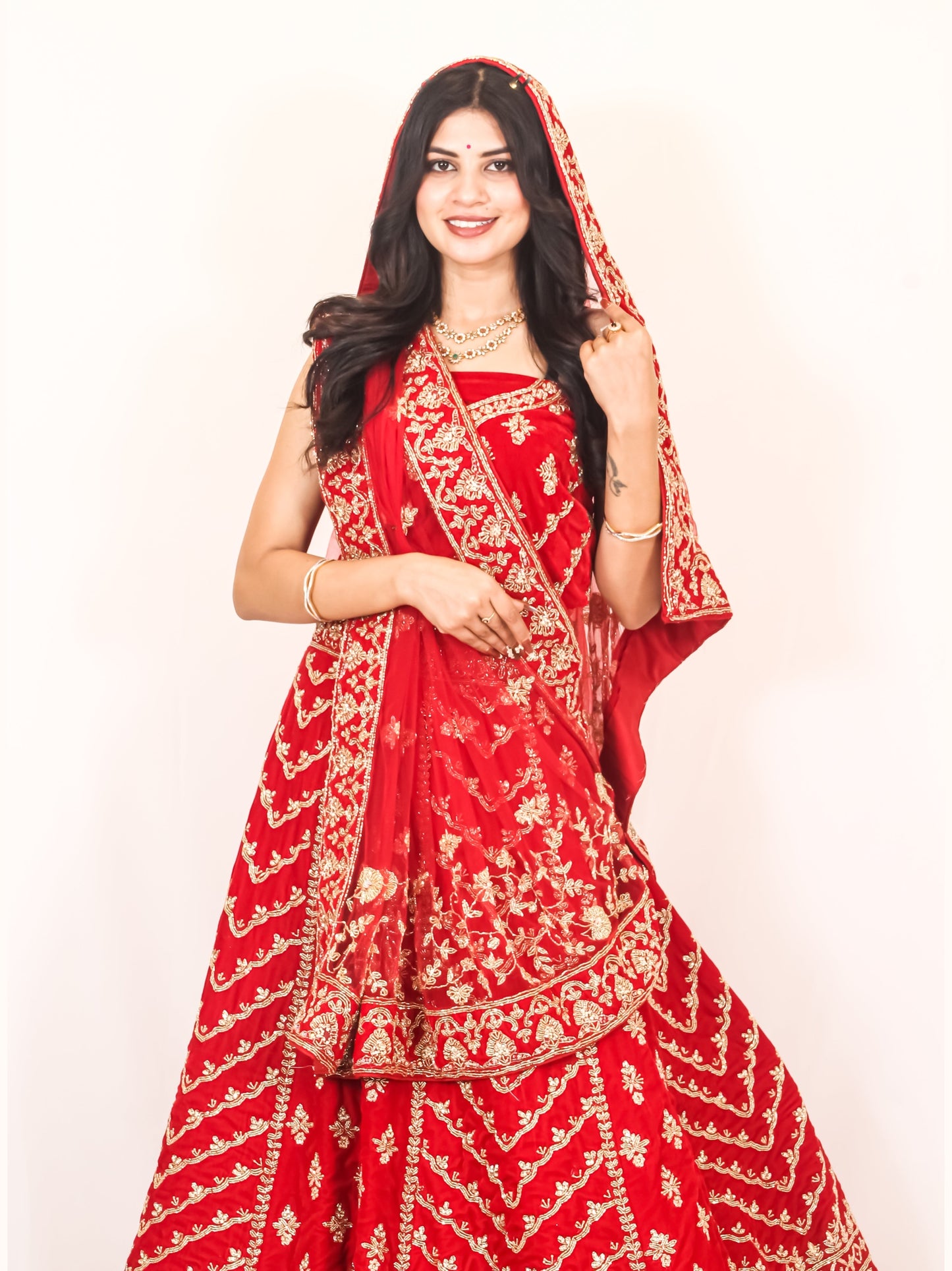 Luxury Red Bridal Lehenga with Golden Zari Embroidery