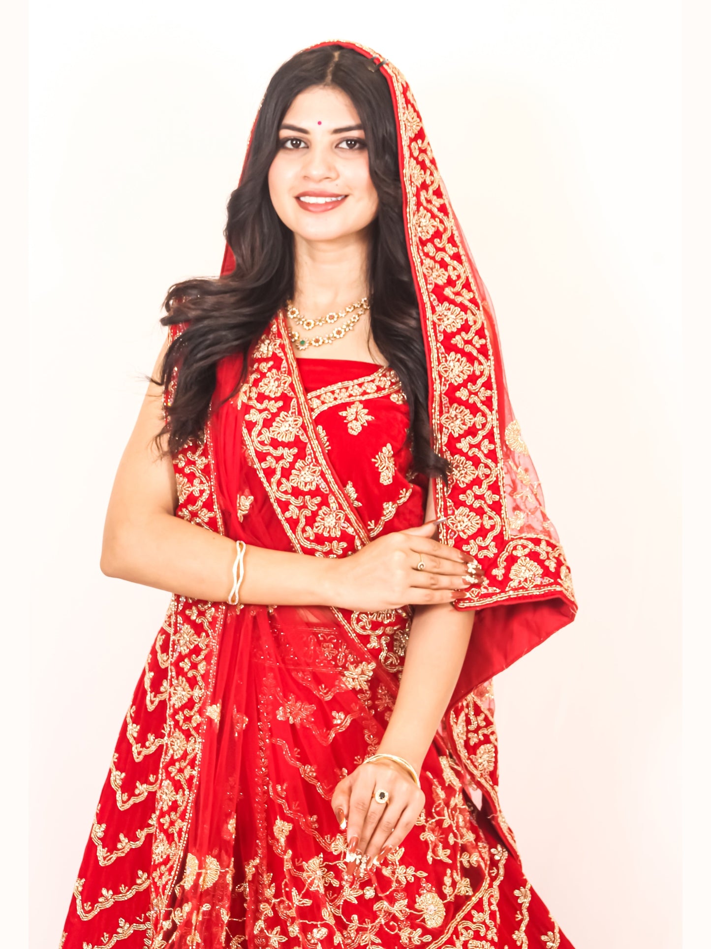 Luxury Red Bridal Lehenga with Golden Zari Embroidery