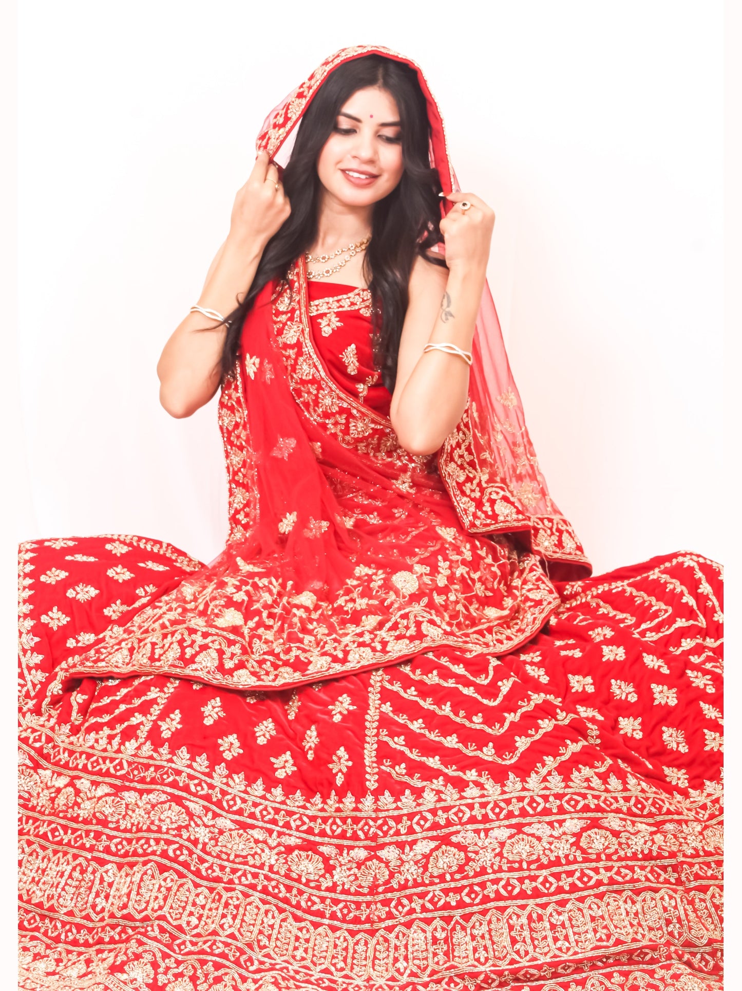 Luxury Red Bridal Lehenga with Golden Zari Embroidery