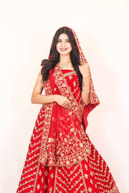 Luxury Red Bridal Lehenga with Golden Zari Embroidery