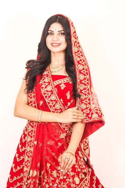 Luxury Red Bridal Lehenga with Golden Zari Embroidery