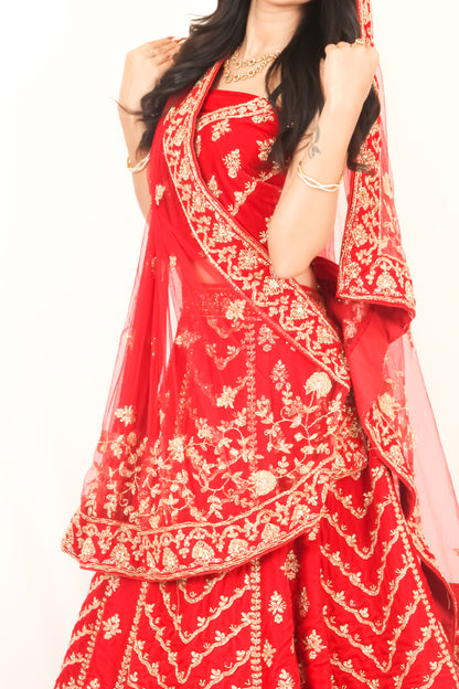 Luxury Red Bridal Lehenga with Golden Zari Embroidery