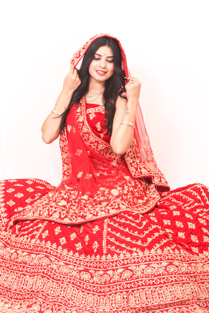 Luxury Red Bridal Lehenga with Golden Zari Embroidery