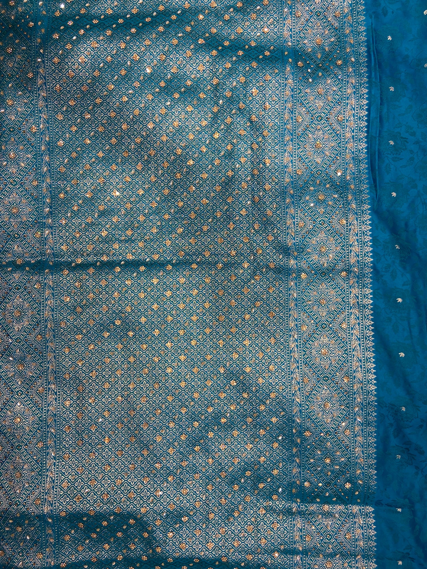 Firozi (Sky Blue) Soft Silk Saree – Intricate Stone & Zari Work