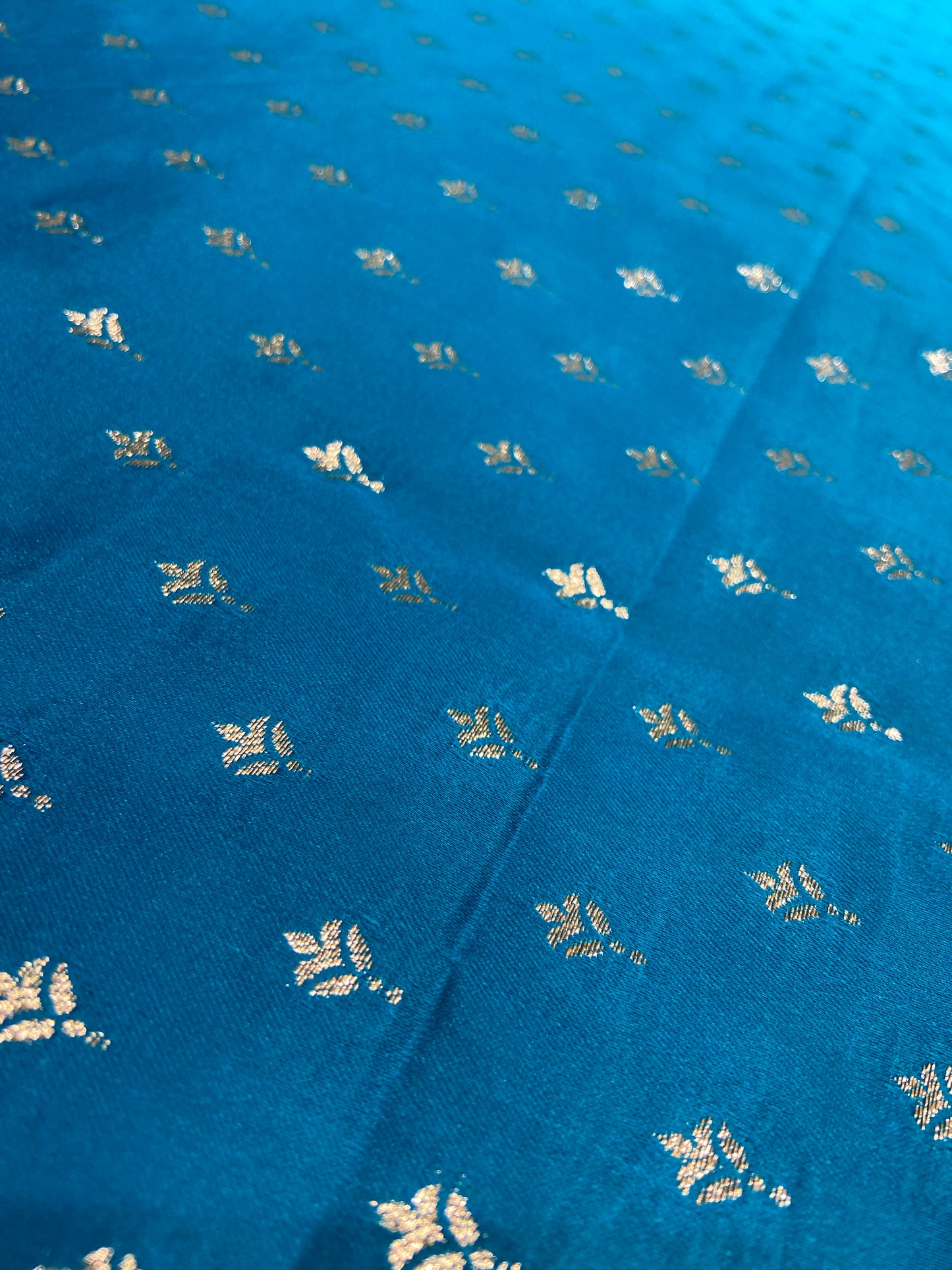 Firozi (Sky Blue) Soft Silk Saree – Intricate Stone & Zari Work